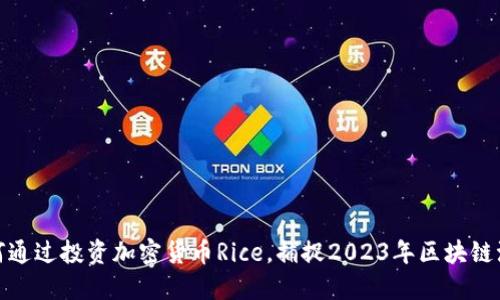 如何通过投资加密货币Rice，捕捉2023年区块链浪潮