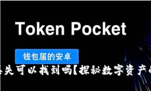 加密货币丢失可以找到吗？探秘数字资产的追回之道