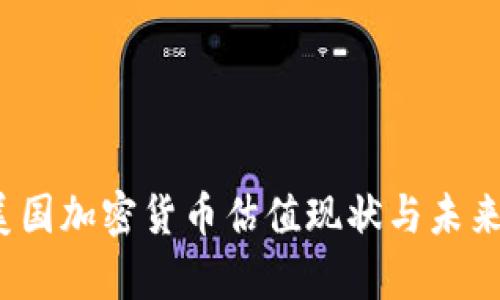 2023年美国加密货币估值现状与未来趋势探析