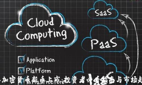 
2023年加密货币新币上市：投资者必看指南与市场趋势分析