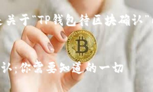 当然可以！下面是关于“TP钱包待区块确认”内容的详细构思。


TP钱包待区块确认：你需要知道的一切