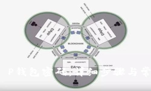  如何找回T P钱包密码：详细步骤与常见问题解答