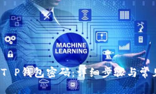 如何找回T P钱包密码:详细步骤与常见问题解答