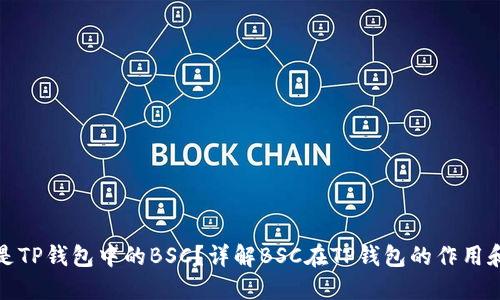 什么是TP钱包中的BSC？详解BSC在TP钱包的作用和价值