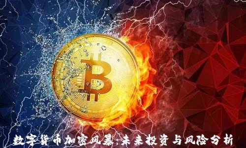 
数字货币加密风暴：未来投资与风险分析