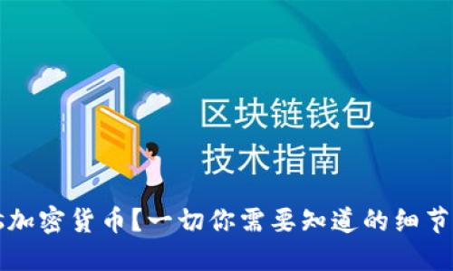 什么是Plus加密货币？一切你需要知道的细节和投资潜力