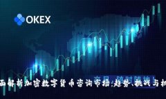 全面解析加密数字货币咨